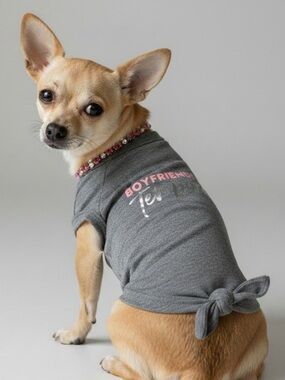 Lightweight Dog Statement T Shirt